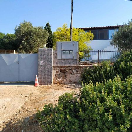 Cap Sounion Seafront Apartments -Adults Only ภายนอก รูปภาพ