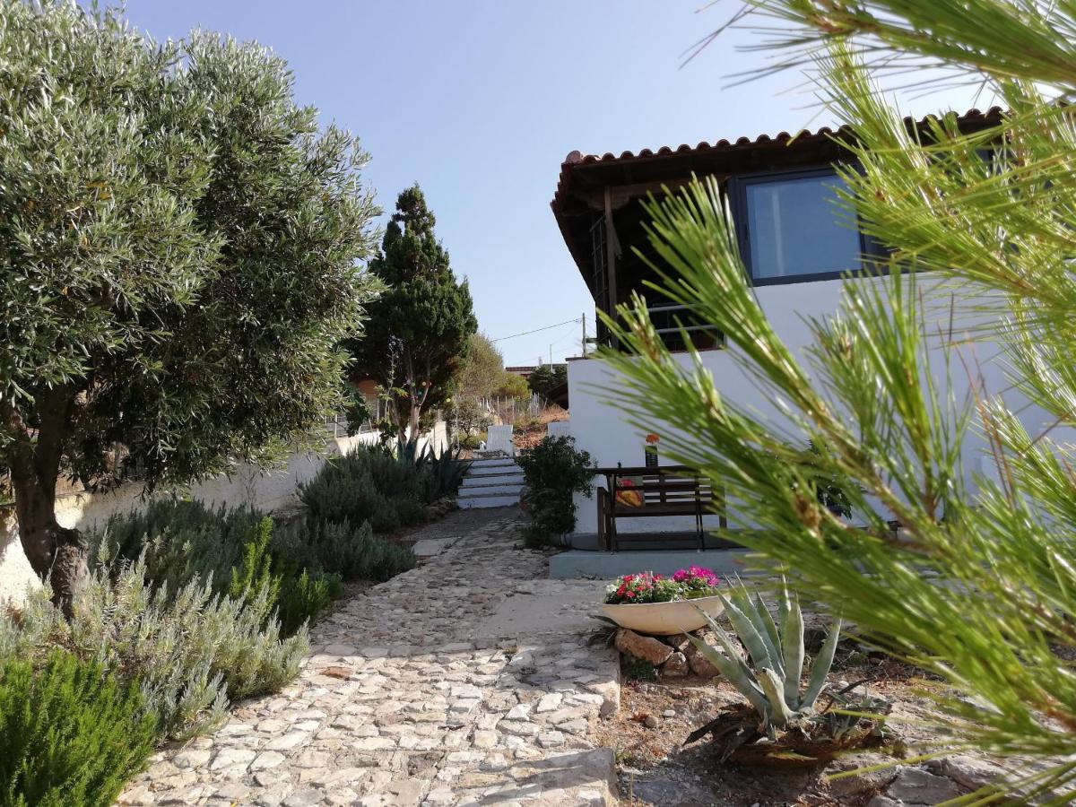 Cap Sounion Seafront Apartments -Adults Only ภายนอก รูปภาพ