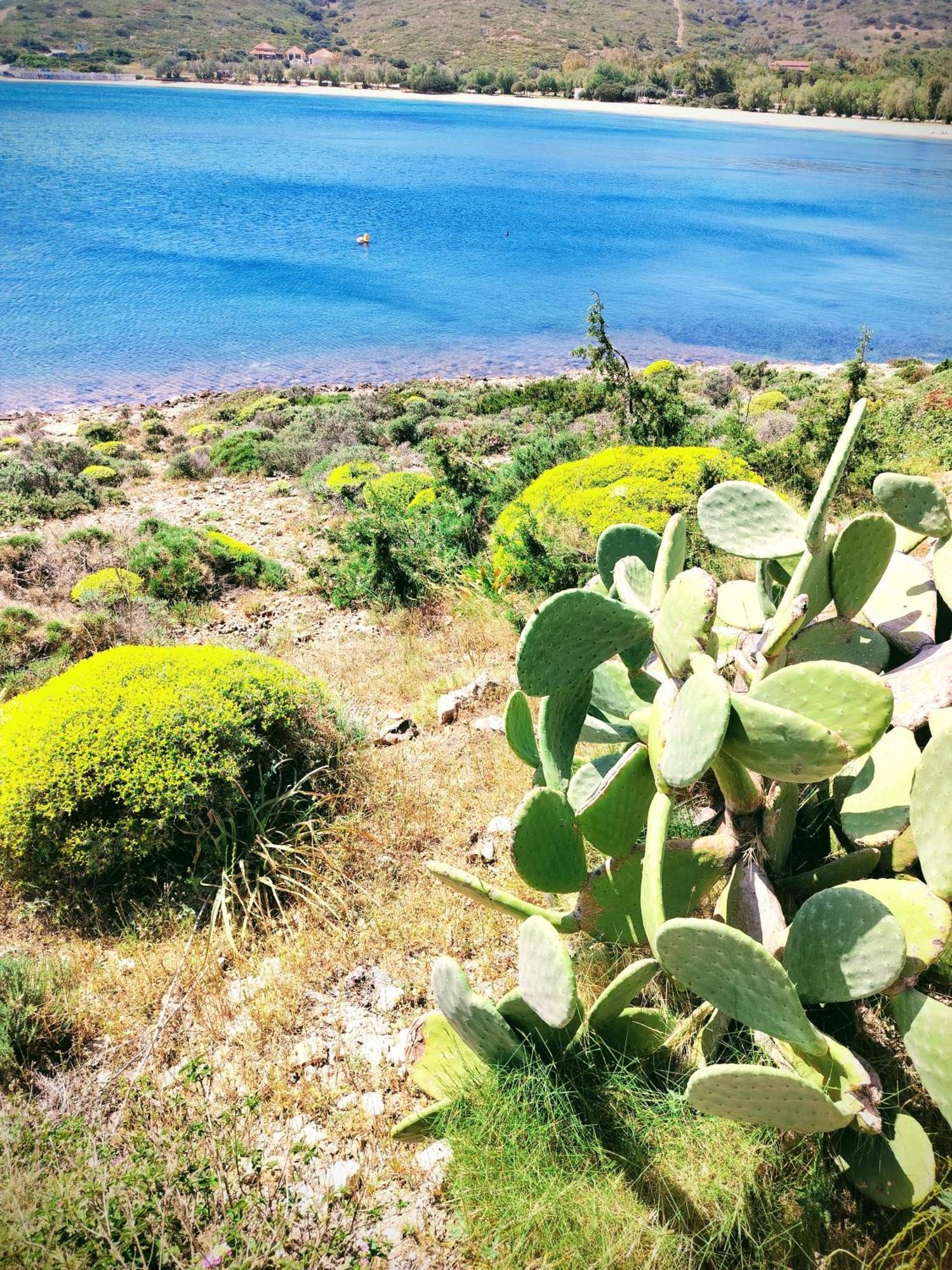 Cap Sounion Seafront Apartments -Adults Only ภายนอก รูปภาพ