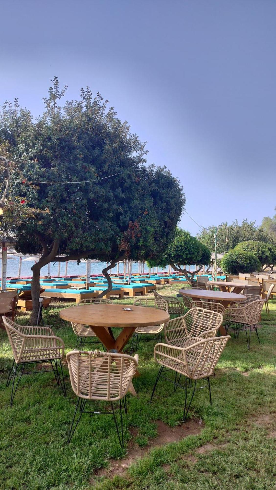 Cap Sounion Seafront Apartments -Adults Only ภายนอก รูปภาพ