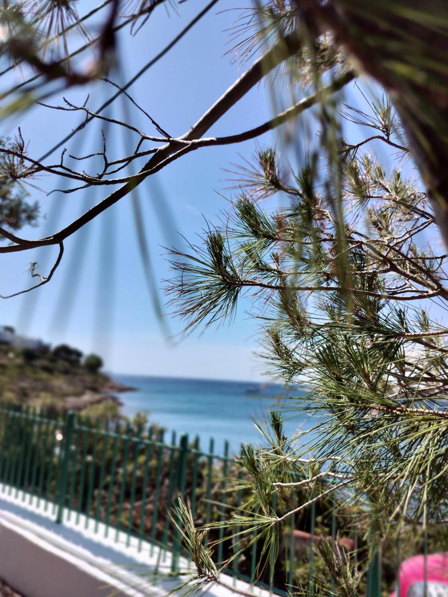 Cap Sounion Seafront Apartments -Adults Only ภายนอก รูปภาพ